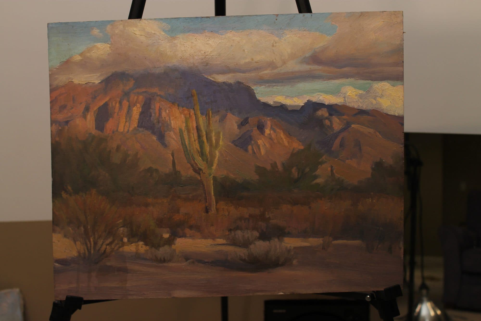 Saguaro Cactus In The Desert
